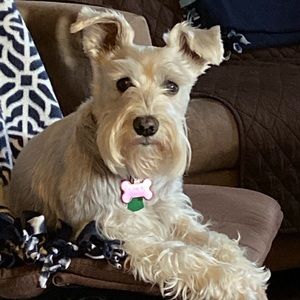 Meet your Posher, Kate